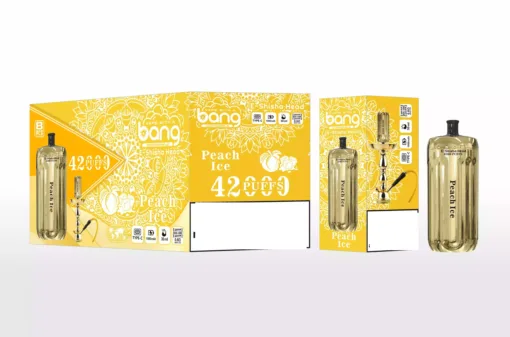 BANG BLAZE E-SHISHA 42000 Puffs DSK038 Bulk Buy Rechargeable Disposable Vapes Wholesale - Image 6