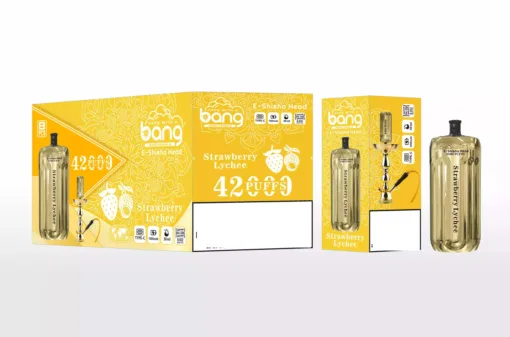 BANG BLAZE E-SHISHA 42000 Puffs DSK038 Bulk Buy Rechargeable Disposable Vapes Wholesale - Image 5