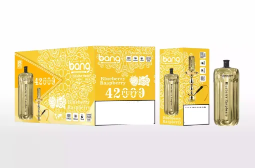BANG BLAZE E-SHISHA 42000 Puffs DSK038 Bulk Buy Rechargeable Disposable Vapes Wholesale - Image 4