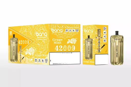 BANG BLAZE E-SHISHA 42000 Puffs DSK038 Bulk Buy Rechargeable Disposable Vapes Wholesale - Image 3