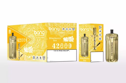 BANG BLAZE E-SHISHA 42000 Puffs DSK038 Bulk Buy Rechargeable Disposable Vapes Wholesale - Image 2