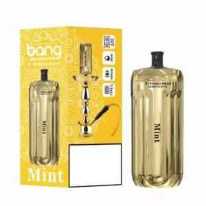 BANG BLAZE E-SHISHA 42000 Puffs DSK038 Uppladdningsbara engångsvapor