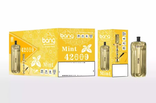 BANG BLAZE E-SHISHA 42000 Puffs DSK038 Bulk Buy Rechargeable Disposable Vapes Wholesale - Image 12