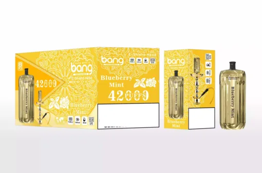BANG BLAZE E-SHISHA 42000 Puffs DSK038 Bulk Buy Rechargeable Disposable Vapes Wholesale - Image 10