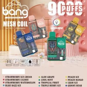 BANG BC 9000 Puffs Rechargeable Disposable Vapes