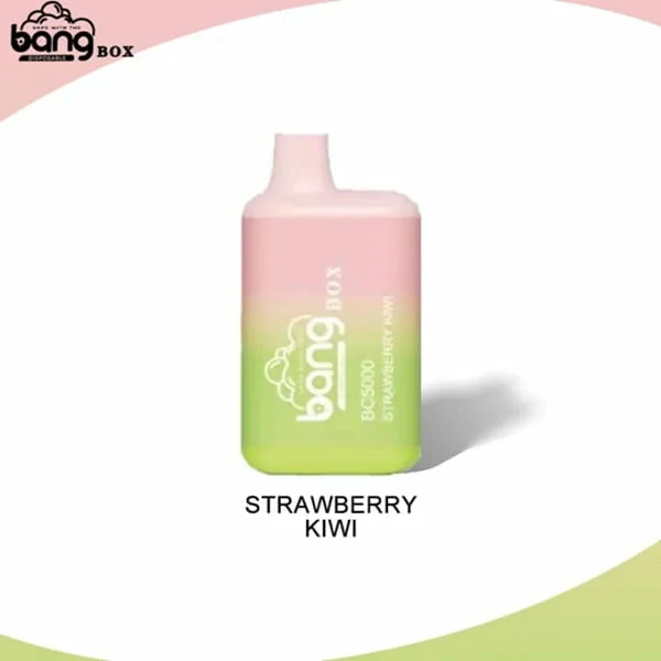 Bang Box Vape BC5000 Puffs Rechargeable Disposable Vapes Wholesale - Image 13