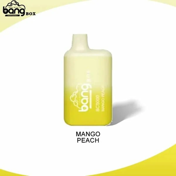 Bang Box Vape BC5000 Puffs Rechargeable Disposable Vapes Wholesale - Image 4