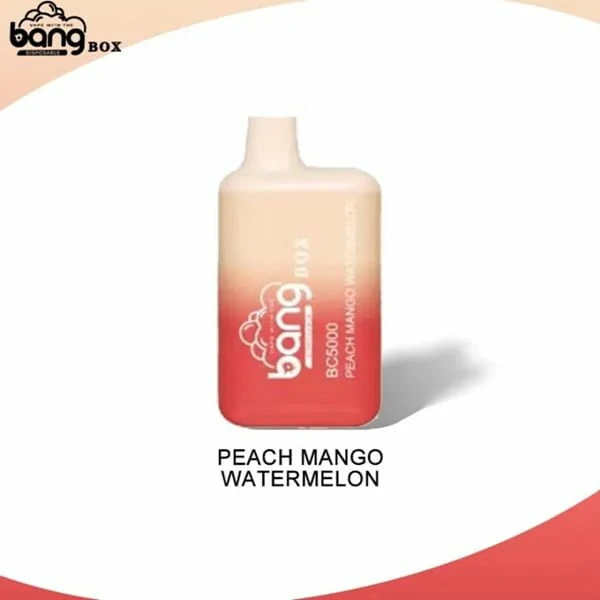 Bang Box Vape BC5000 Puffs Rechargeable Disposable Vapes Wholesale - Image 6