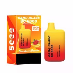 BANG BLAZE BC 5000 Puffs DSK062 Rechargeable Disposable Vapes