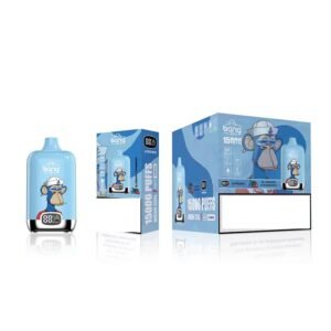 Bang Box Vape 15000 Puff Disposable Vape