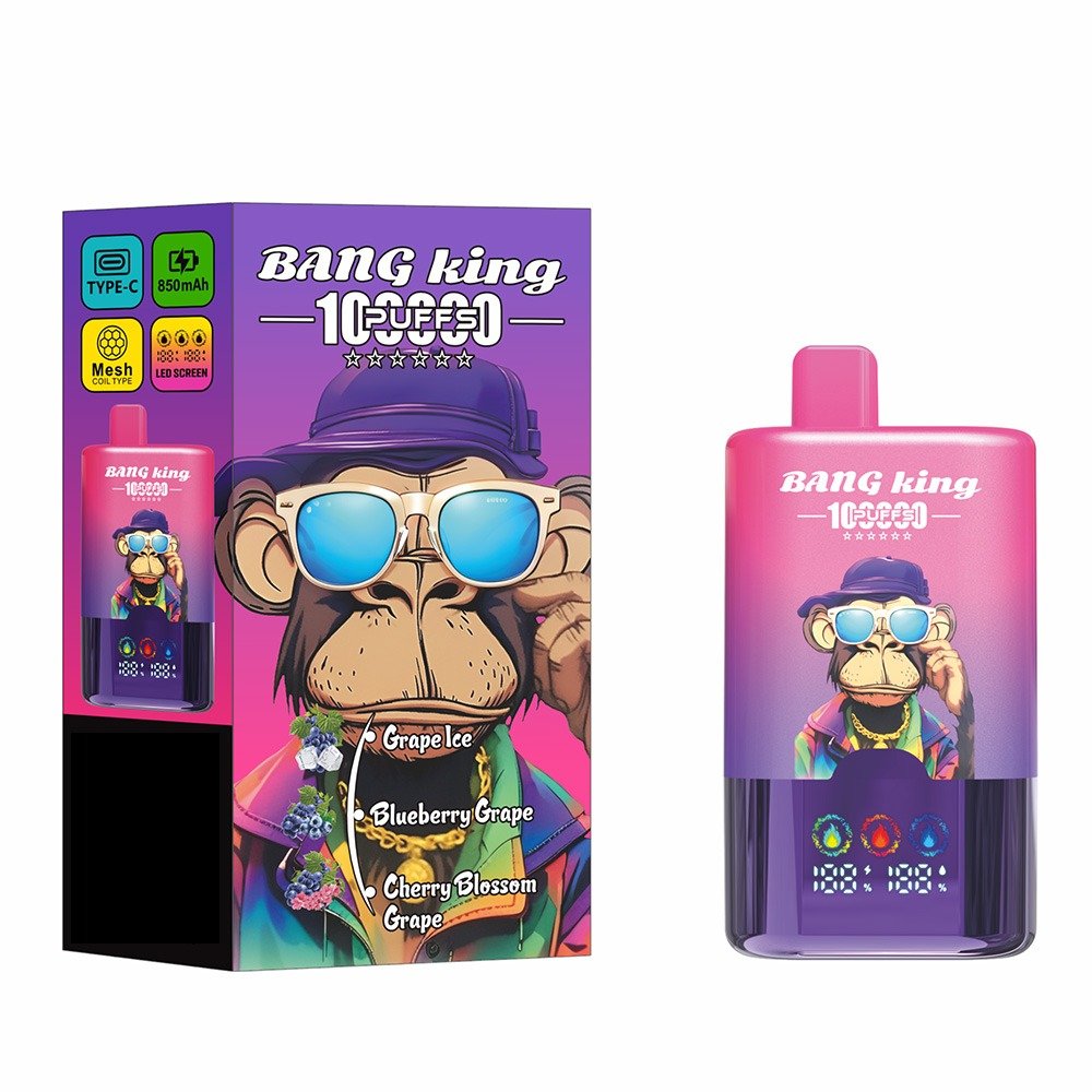 BANG KING 100000 Puffs DSK061 3-in-1 Disposable Vapes Wholesale Bulk Buy High Capacity 100K Puffs Mesh Coil - Image 8