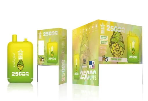 BANG KING 25000 Puffs Bulk Buy Rechargeable Disposable Vapes Wholesale - Image 4