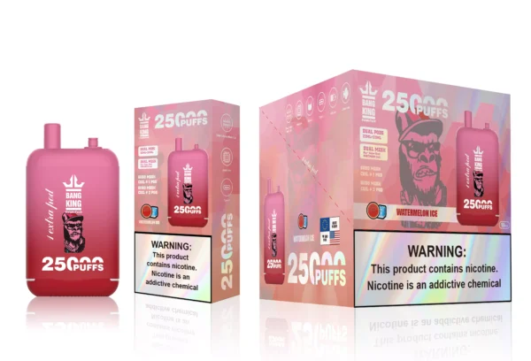 BANG KING 25000 Puffs Bulk Buy Rechargeable Disposable Vapes Wholesale - Image 5