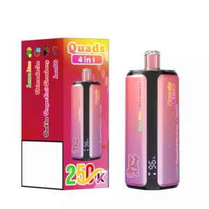 BANG KING 250K Puffs DSK074 Quads 4in1 Tastes Disposable Vapes 250000 Puffs Quad System Mesh Coil
