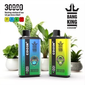 BANG KING 30000 Puffs Rechargeable Disposable Vapes
