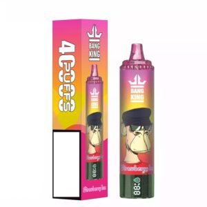 BANG KING 40000 Puffs DSK059 Uppladdningsbara engångsvapor