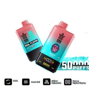 BANG KING 50000 Puffs DSK042 Dual Tastes Rechargeable 50K Disposable Vapes