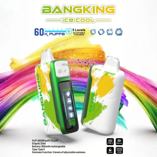 BANG KING 60000 Puffs DSK048 Ice Cool Bulk Buy 60K Rechargeable Disposable Vapes Wholesale - Image 9