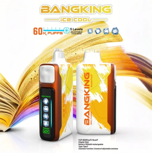 BANG KING 60000 Puffs DSK048 Ice Cool Bulk Buy 60K Rechargeable Disposable Vapes Wholesale - Image 8