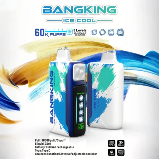 BANG KING 60000 Puffs DSK048 Ice Cool Bulk Buy 60K Rechargeable Disposable Vapes Wholesale - Image 7
