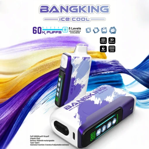 BANG KING 60000 Puffs DSK048 Ice Cool Bulk Buy 60K Rechargeable Disposable Vapes Wholesale - Image 6
