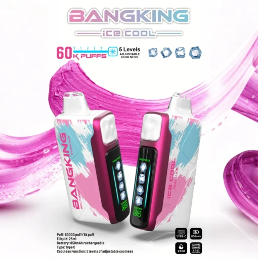 BANG KING 60000 Puffs DSK048 Ice Cool Bulk Buy 60K Rechargeable Disposable Vapes Wholesale - Image 5