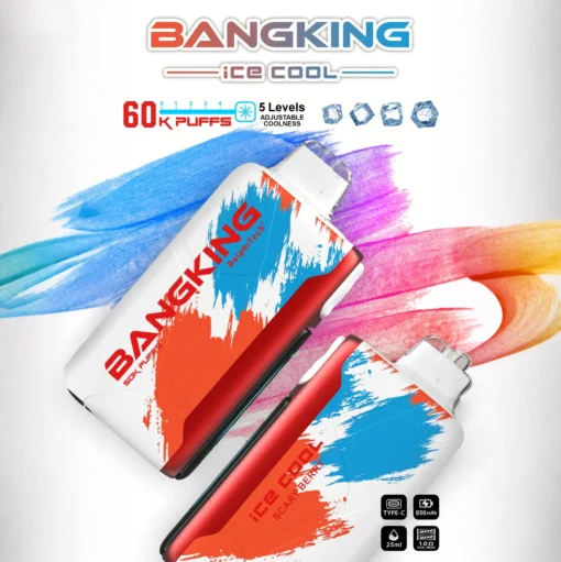 BANG KING 60000 Puffs DSK048 Ice Cool Bulk Buy 60K Rechargeable Disposable Vapes Wholesale - Image 4