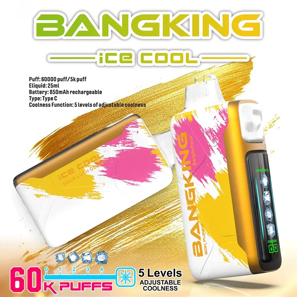 BANG KING 60000 Puffs DSK048 Ice Cool Bulk Buy 60K Rechargeable Disposable Vapes Wholesale - Image 3