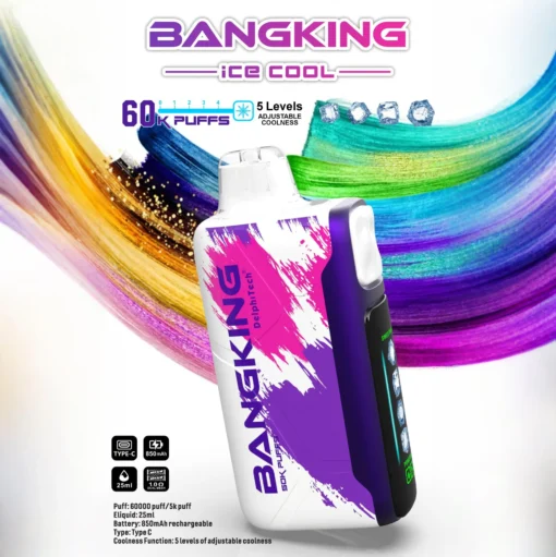 BANG KING 60000 Puffs DSK048 Ice Cool Bulk Buy 60K Rechargeable Disposable Vapes Wholesale - Image 2