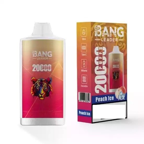 BANG LEADER 20000 Puffs  Rechargeable Disposable Vapes
