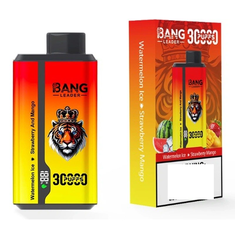 BANG LEADER 30000 Puffs Double Tastes Bulk Buy Rechargeable Disposable Vapes Wholesale - Image 2