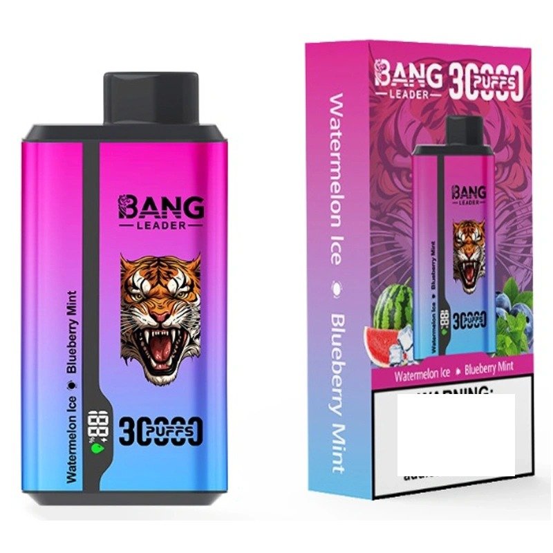 BANG LEADER 30000 Puffs Double Tastes Bulk Buy Rechargeable Disposable Vapes Wholesale