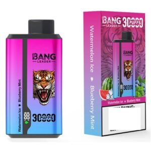 BANG LEADER 30000 Puffs Double Tastes Rechargeable Disposable Vapes