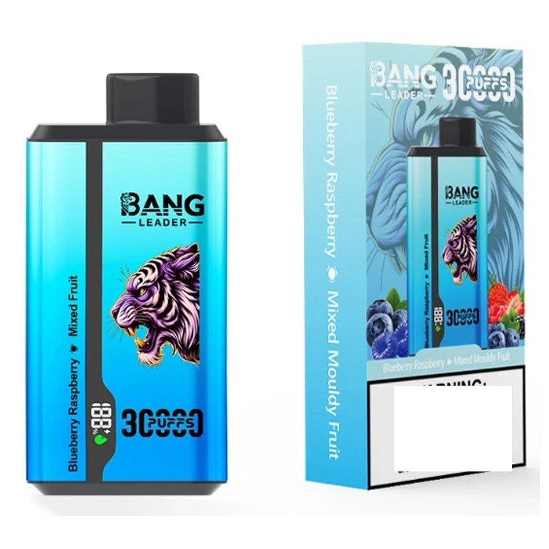 BANG LEADER 30000 Puffs Double Tastes Bulk Buy Rechargeable Disposable Vapes Wholesale - Image 3