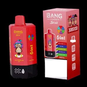 BANG LEADER STOLL 300K 300000 Puffs Rechargeable 6 in 1 Taste Disposable Vape Dual Mesh