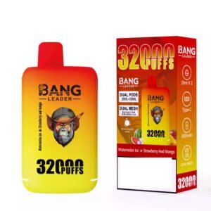 BANG LEADER 32000 Puffs Dual Tastes  Rechargeable Disposable Vapes