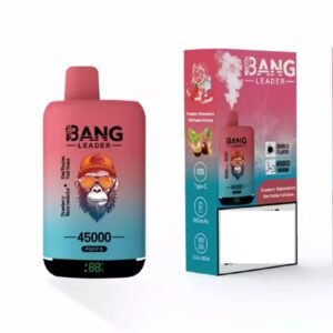BANG LEADER 45000 Puffs Dual Tastes  Rechargeable Disposable Vapes