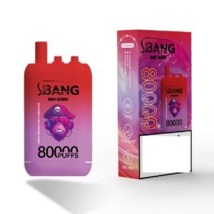 BANG LEADER 80000 Puffs 3 Tastes Rechargeable Disposable Vape BulK Buy