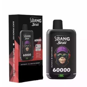 BANG LEADER STOLL 60000 60K Puffs Disposable Vapes 2IN1 Taste Mesh Coil