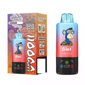 BANG LEADER 110000 Puffs Disposable Vape 6-in-1 Taste 110K Rechargeable