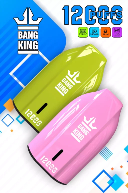 BANG KING BK12 DSK029 Disposable Vape Devices 12000 Puffs - Image 2