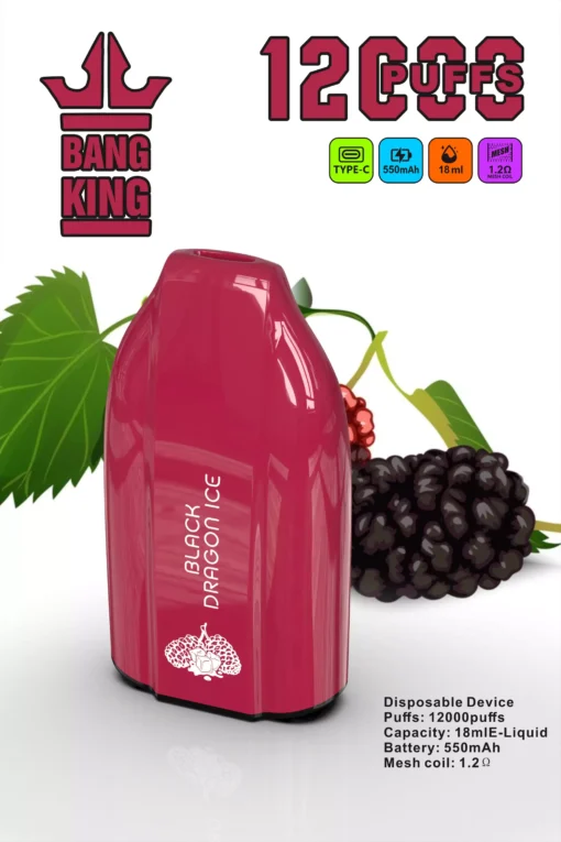 BANG KING BK12 DSK029 Disposable Vape Devices 12000 Puffs - Image 11