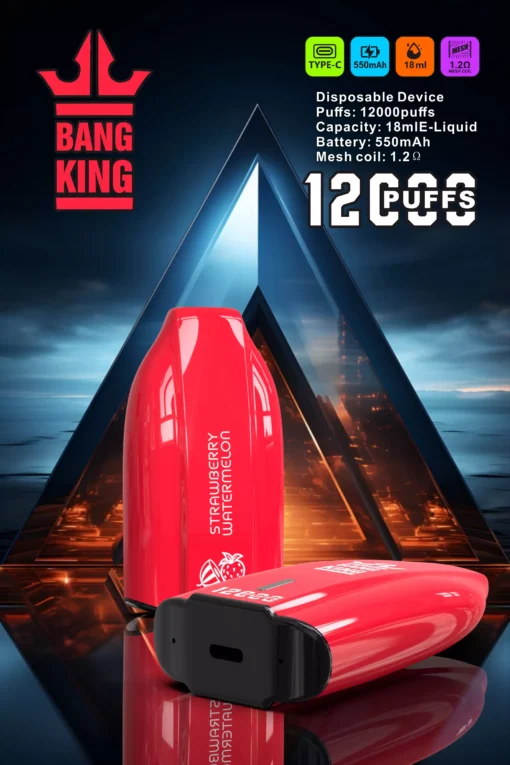 BANG KING BK12 DSK029 Disposable Vape Devices 12000 Puffs - Image 6