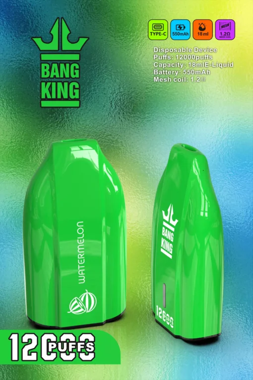 BANG KING BK12 DSK029 Disposable Vape Devices 12000 Puffs - Image 4
