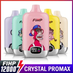 FIHP 12000 Puffs Rechargeable Disposable Vapes