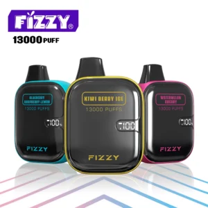 FIZZY Boom 13000 Puffs  LCD Screen Rechargeable Disposable Vapes