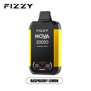 FIZZY Nova 20000 Puffs Dual Mesh LCD Screen Rechargeable Disposable Vapes