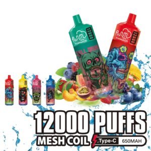 FLUUM BOX 12000 Puffs Disposable Vape