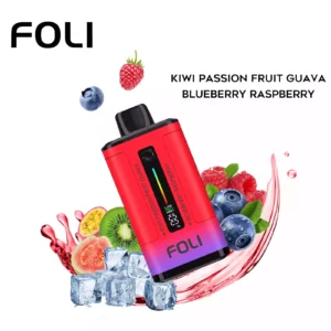 FOLI 60000 Puffs Dual Taste  Rechargeable Disposable Vapes