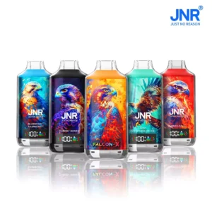 JNR FALCON X 18000 Puffs Dual Mesh LED Display  Rechargeable Disposable Vapes